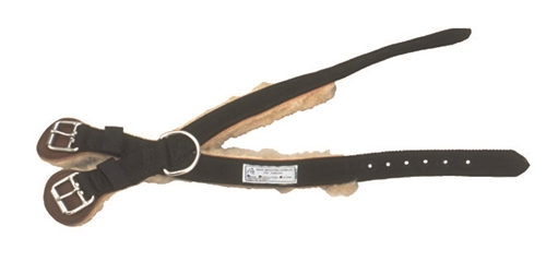 Breeding Hobbles Hock Strap for Small Mares 
